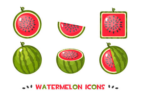 Different shapes watermelon icons illustration on white background.のイラスト素材