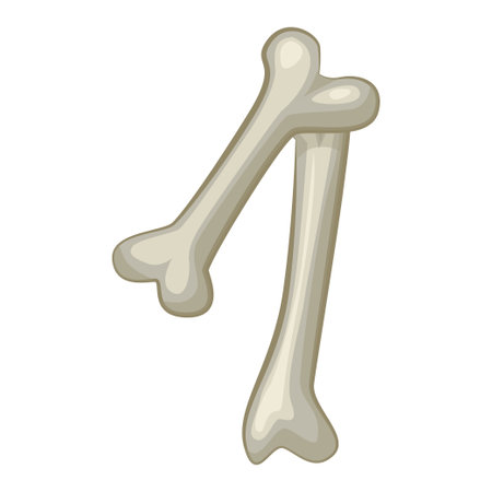Bone number 1, vector digit one. Cartoon isoled number on white backgroundのイラスト素材