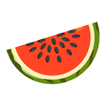 Slice of watermelon. Summer icon.の写真素材