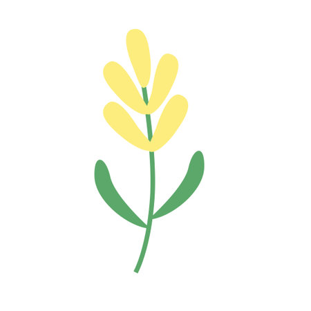 Spring Flower, Flat Icon. Plant nature, chamomile sign.のイラスト素材