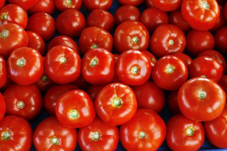 heap of tomatoesの写真素材