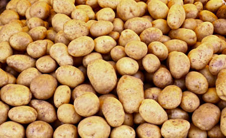 pile of raw potatoesの写真素材