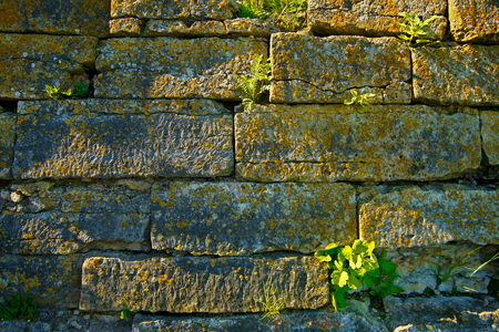 Old brick wall. age more than 600 yearsの写真素材