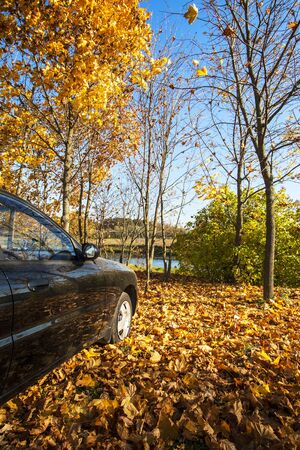 Autumn Landscape with a carの写真素材