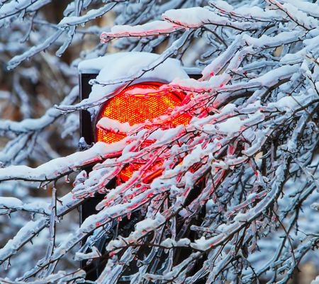 Frozen traffic lightsの写真素材