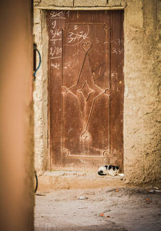 Moroccan door with a cat in front off.の写真素材