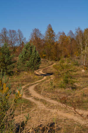 Autumn lanscape. Autumn trees on Podlachia. Polandの写真素材