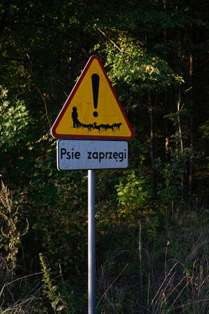Road sign Dog sledding. Road sign with a forest background. Masuria. Polandの写真素材