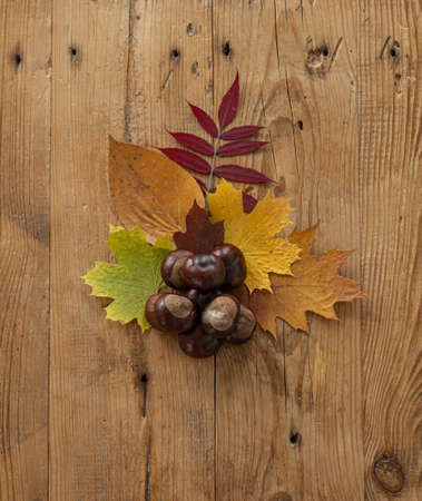 Autumn arrangement. Leaves and chestnuts on a wooden background.の写真素材