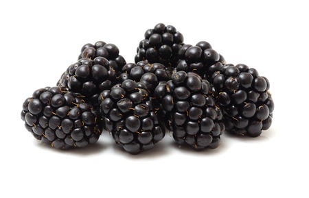 blackberries isolated on whiteの写真素材