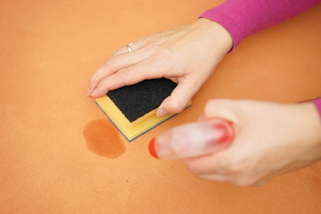 professional cleaner is cleaning stain on sofa with spray bottle and sponge