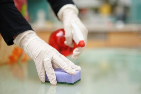 Housemaid from cleaning service is cleaning kitchen with sponge and sprayの写真素材