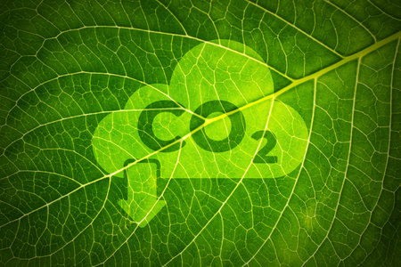 CO2 and Climate change concept on a leafの写真素材