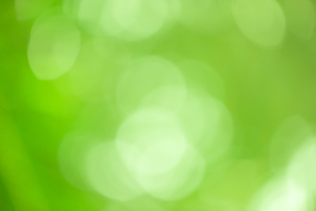 Green bokeh abstract background out of focus from nature forestの写真素材
