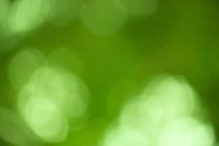 Green bokeh abstract background out of focus from nature forestの写真素材