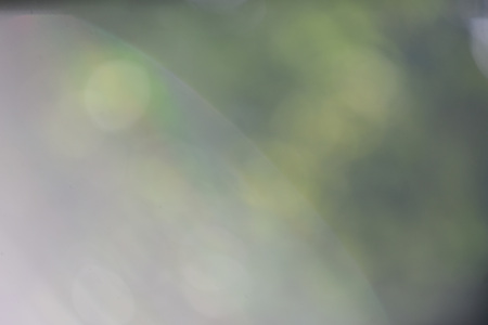 Bokeh leaf green nature forest sunlight background