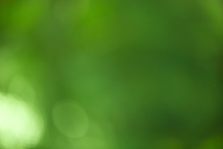 Green bokeh abstract background out of focus from nature forestの写真素材