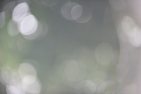 Bokeh leaf green nature forest sunlight background
