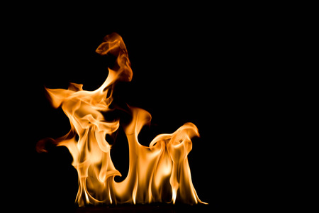 Fire flames abstract on black background.