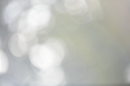 Bokeh leaf green nature forest sunlight backgroundの写真素材