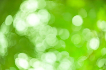 Green bokeh abstract background out of focus from nature forestの写真素材