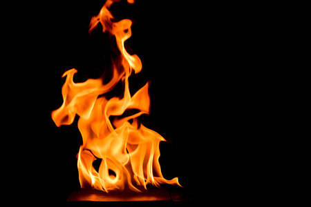 Fire flames abstract on black background.