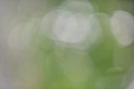 Bokeh leaf green nature forest sunlight backgroundの写真素材