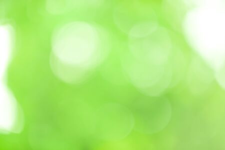 Green bokeh abstract background out of focus from nature forestの写真素材