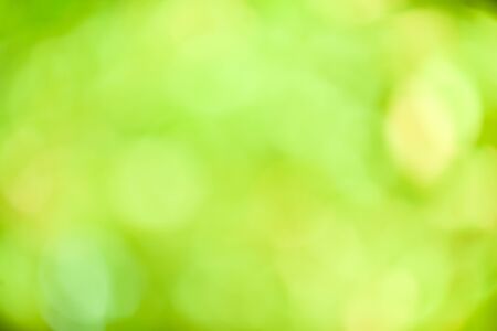 Green bokeh abstract background out of focus from nature forestの写真素材
