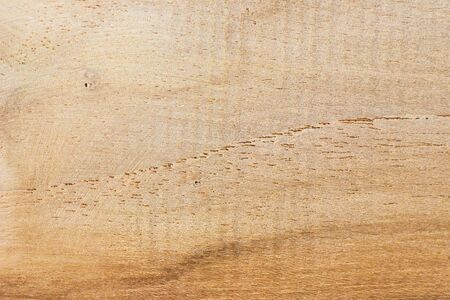 Wood texture background surface with old natural patternの写真素材
