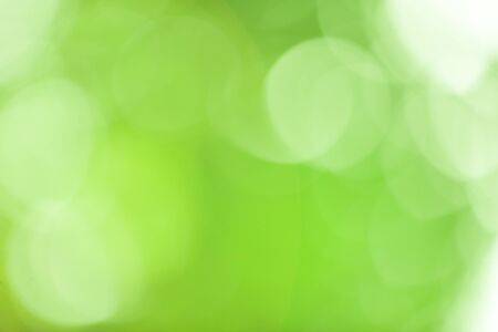 Green bokeh abstract background out of focus from nature forestの写真素材