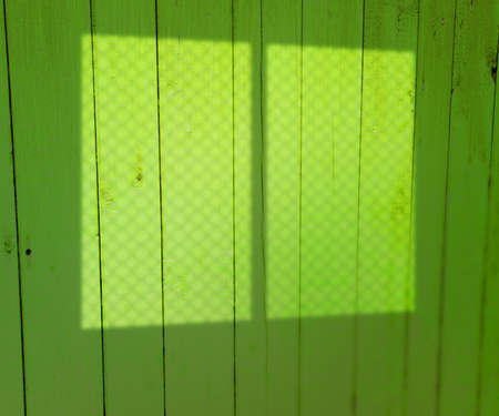Window Light on Green Wooden Wallの写真素材