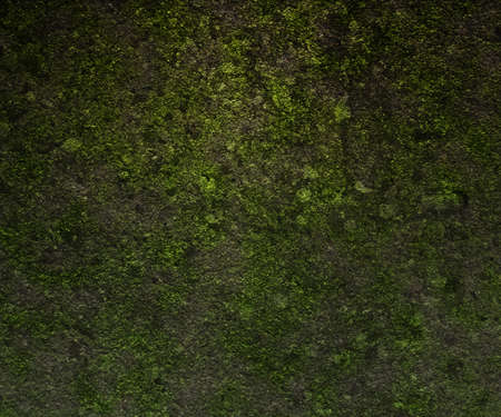 Green Grunge Backgroundの写真素材