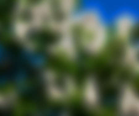 Blurry Photo Backgroundの写真素材