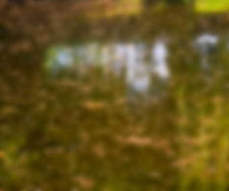 Blurry Photo Texture