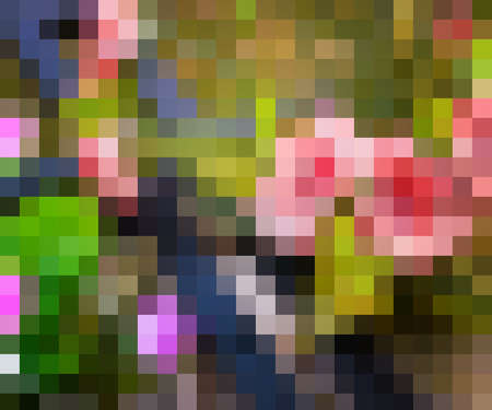 Pixel Backdropの写真素材