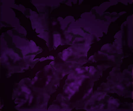 Bats Halloween Backgrounds