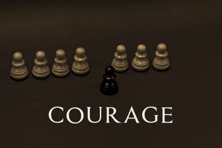 Checkers Courageの写真素材