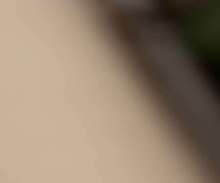 Nature Blurの写真素材