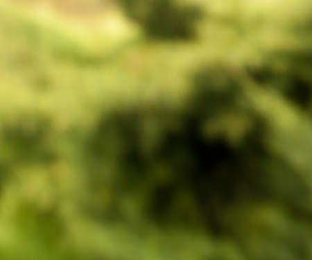 Blur Imageの写真素材