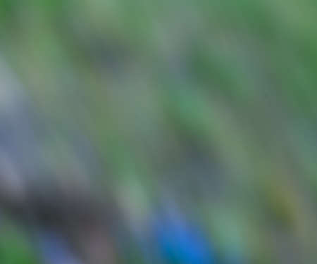 Blurred Photoの写真素材