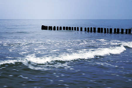 Sea Summer Background