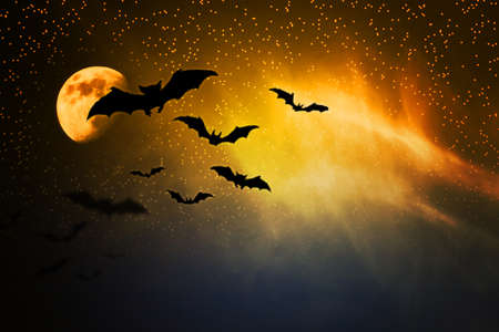 Horror Bats Backdropの写真素材