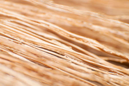 Closeup Dry Grass Flowers Patternの写真素材