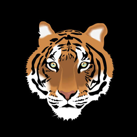 Vector illustration of Tiger Head Isolated on Black Background.のイラスト素材