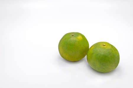 Green Mandarin Orange Isolated on White Backgroundの写真素材