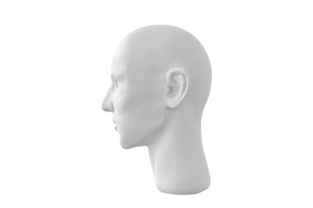 3D rendering of human head Isolated on white background, side view.の写真素材
