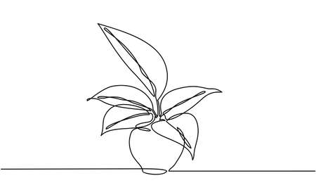 continuous line drawing of plant. can be for plants, agriculture, seeds. Black and white illustration.のイラスト素材
