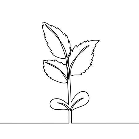continuous line drawing of plant. can be for plants, agriculture, seeds. Black and white illustration.のイラスト素材