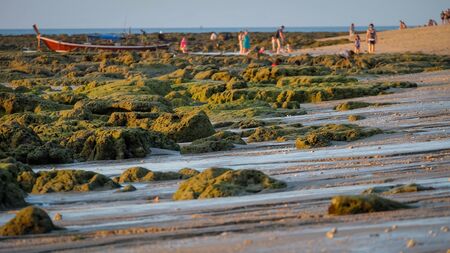 Low tide impressions with green rocks and corals on a beach on koh lanta with fishing boat and people enjoying the beach in the background.の写真素材